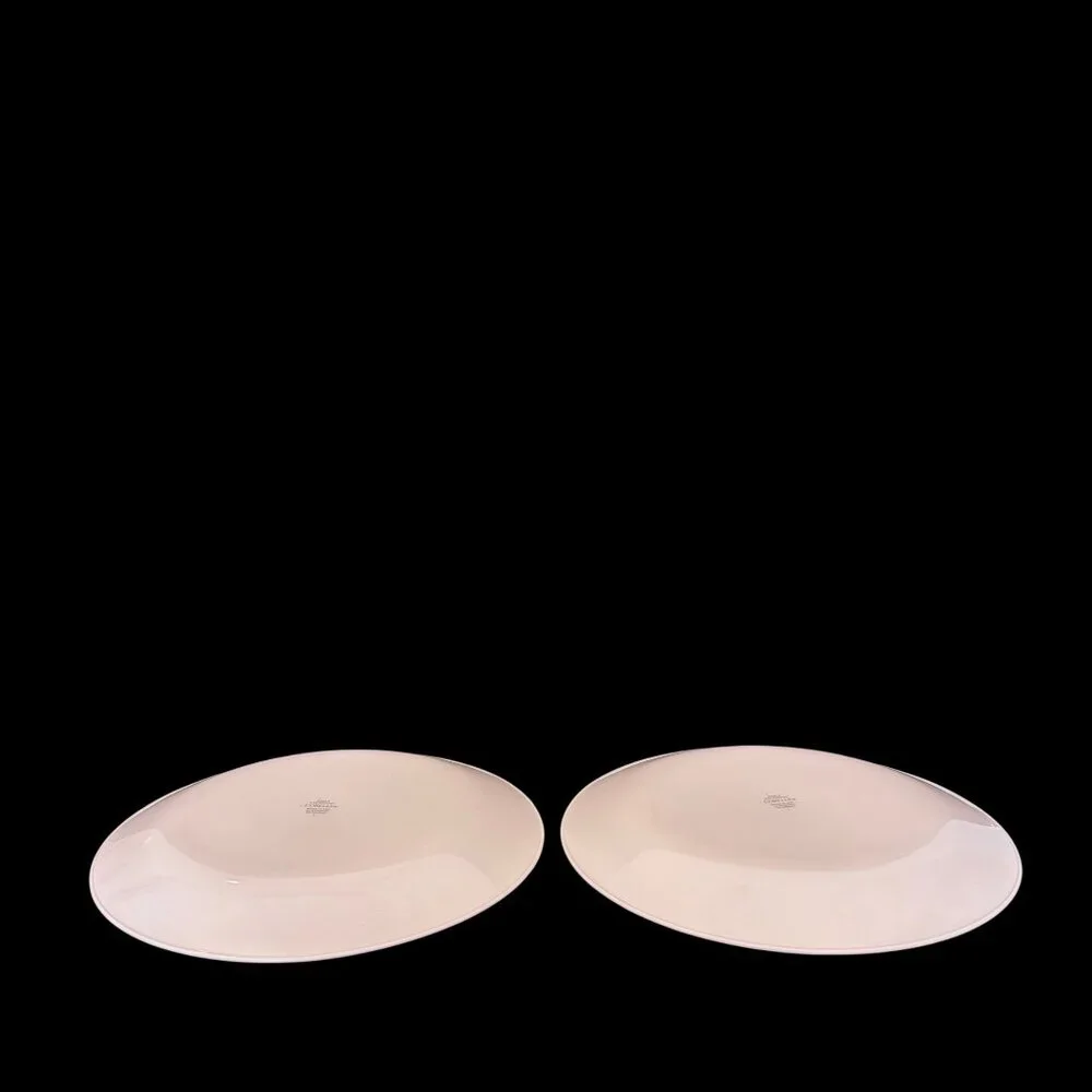 Vtg‎ Corelle Rosemary Rosemarie Dinner Plate Plates Set 2 10.25